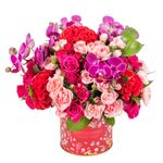 Arranjo-Little-Kew-Garden---Pink--2-