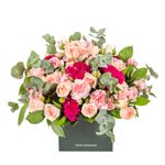 Arranjo---Petit-Soft-Colors--2-