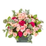 Arranjo---Petit-Soft-Colors--3-
