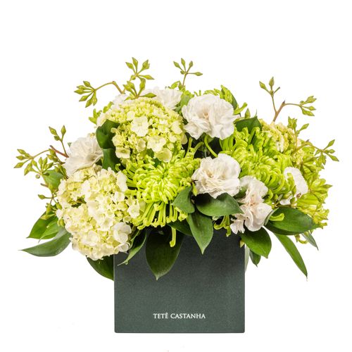 Arranjo - Petit All Green