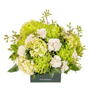 Arranjo - Petit All Green
