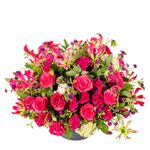 Arranjo-Cadiz---Pink--3-