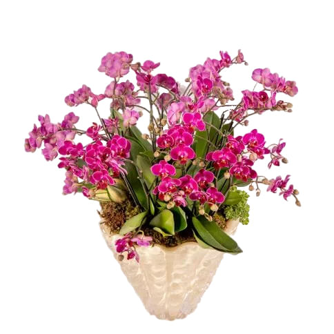Arranjo-Roma-Orchidee--10-A