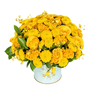 Arranjo em Lata - Variazioni Di Gialle