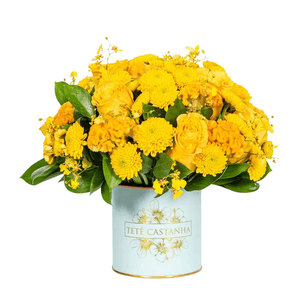 Arranjo em Lata - Variazioni Di Gialle