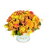 Design-sem-nome---2023-02-23T142736.204