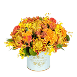 Design-sem-nome---2023-02-23T142825.956