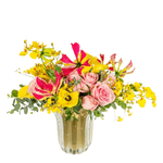 Design-sem-nome---2023-02-24T100213.829