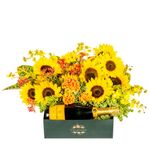 _DSC4512-1000x1000---FC