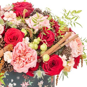 Arranjo - Fiori Natalizi