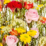_DSC4007-1000X1000---FC
