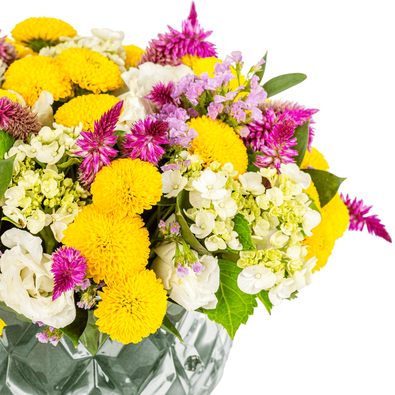 _DSC3963-1000X1000---FC