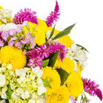 _DSC3969-1000X1000---FC