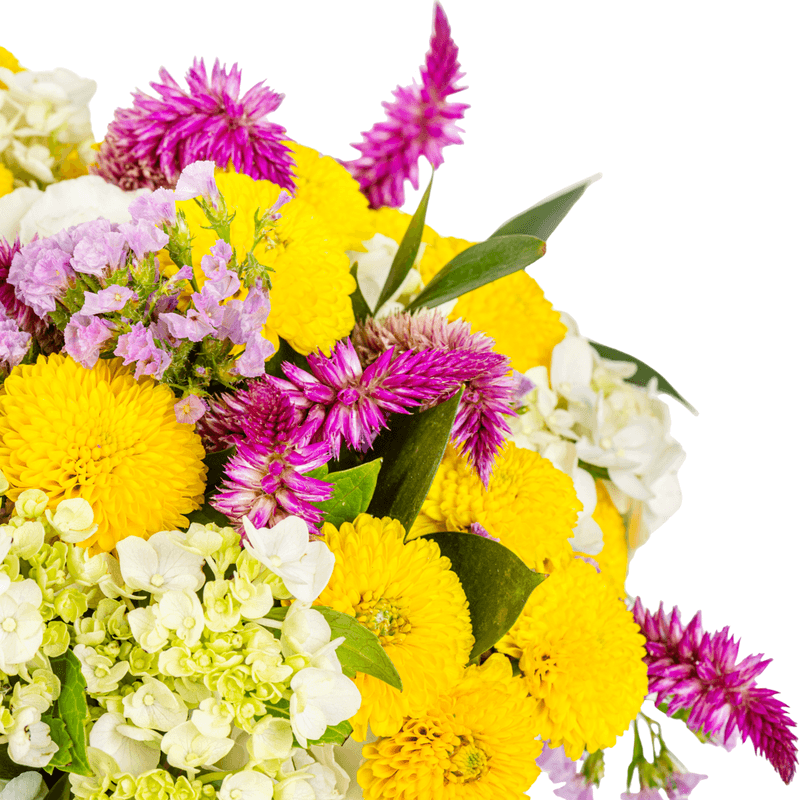 _DSC3969-1000X1000---FC