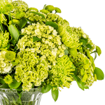 _DSC3973-1000X1000---FC