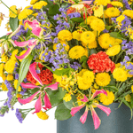 _DSC4494-1000X1000---FC