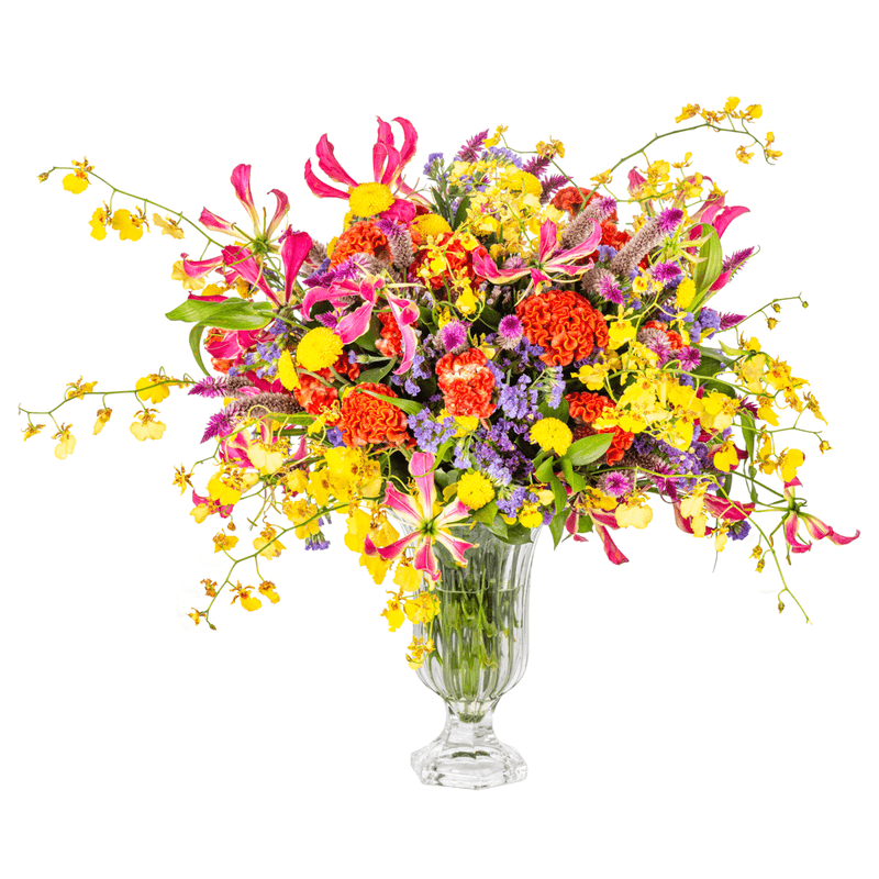 _DSC4530-1000X1000---FC