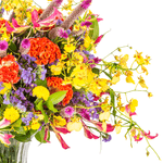 _DSC4532-1000X1000---FC