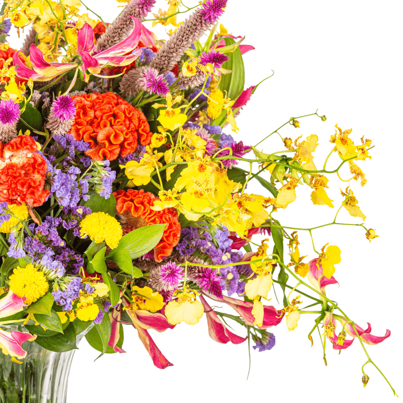 _DSC4532-1000X1000---FC