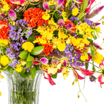_DSC4531-1000X1000---FC