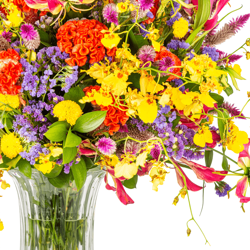 _DSC4531-1000X1000---FC