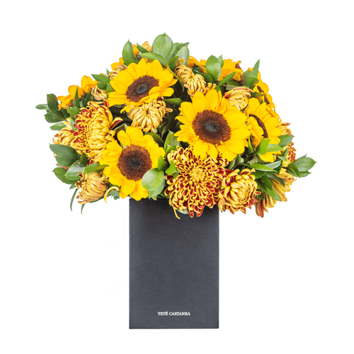 ARRANJO BOX - SUN FLOWERS