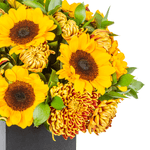 _DSC4498-1000X1000---FC