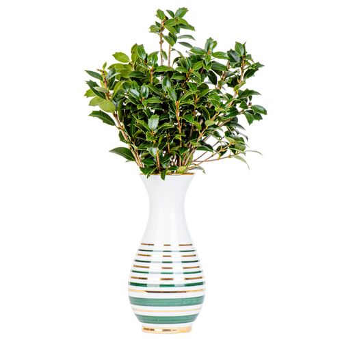 VASO LISTRADO VERDE AZEVINHO