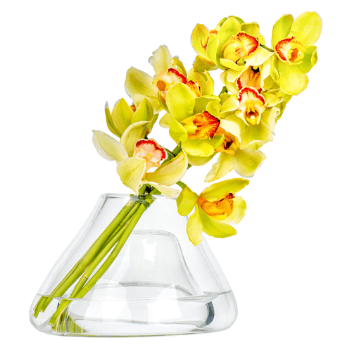 CRYSTAL FLORENCE I