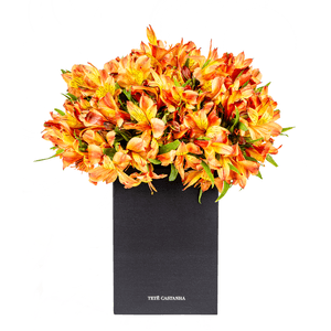 Arranjo Devotion - Orange