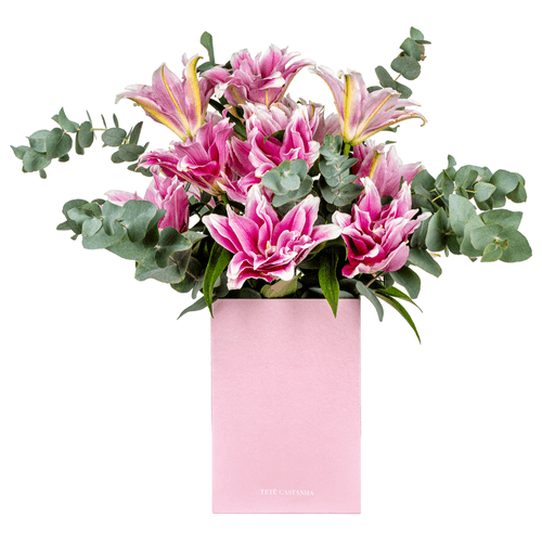 CHLOE PINK BOX