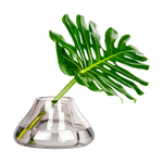 _DSC8415 1000X1000 - FC.PNG