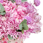 _DSC9371-1000X1000---FC.PNG