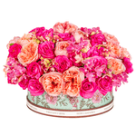 _DSC9358-1000X1000---FC.PNG