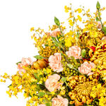 _DSC2173-1000X1000---FC
