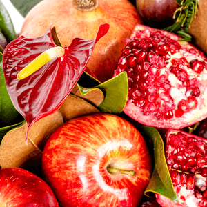 CENTRO LUMIÈRE DU JARDIN