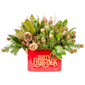 MERRY CHRISTMAS - EVERGREEN